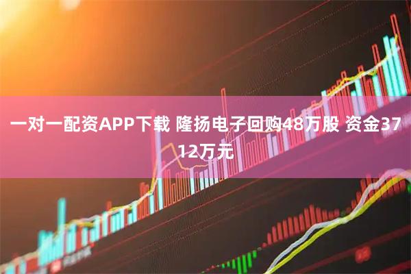 一对一配资APP下载 隆扬电子回购48万股 资金3712万元