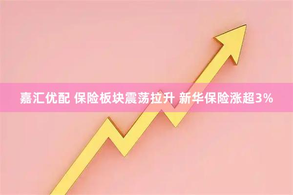嘉汇优配 保险板块震荡拉升 新华保险涨超3%