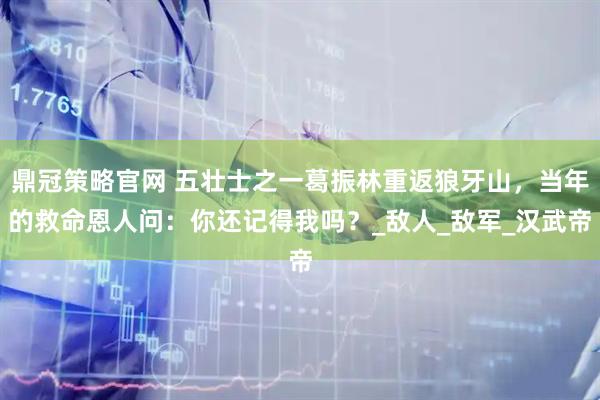 鼎冠策略官网 五壮士之一葛振林重返狼牙山,当年的救命恩人问:你还记得我吗?_敌人_敌军_汉武帝